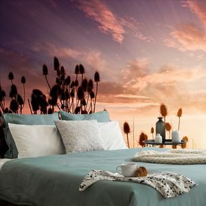 ΑΥΤΟΚΌΛΛΗΤΗ ΦΩΤΟΤΑΠΕΤΣΑΡΊΑ ΚΑΛΑΜΆΚΙΑ ΧΌΡΤΟΥ ΣΤΟ ΧΩΡΆΦΙ - ΑΥΤΟΚΌΛΛΗΤΕΣ ΤΑΠΕΤΣΑΡΊΕΣ - ΤΑΠΕΤΣΑΡΊΕΣ