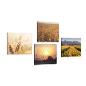 CANVAS PRINT SET MAGIC OF NATURE - SET OF PICTURES - PICTURES