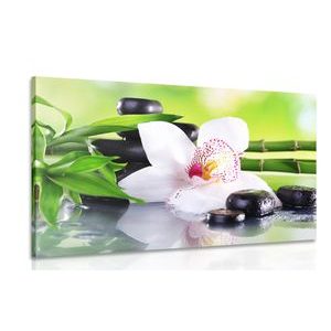 WANDBILD JAPANISCHE ORCHIDEE - BILDER MIT FENG SHUI-MOTIVEN - BILDER