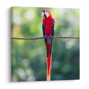 QUADRO SU TELA – UCCELLO TROPICALE NELLA NATURA - QADRI DI UCCELLI - STAMPE E QUADRI