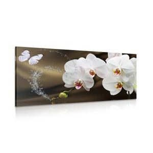 IMPRESSION SUR TOILE ORCHIDÉE ET PAPILLON - IMPRESSIONS SUR TOILE FLEURS - IMPRESSION SUR TOILE