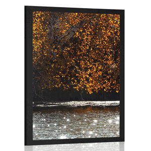 PLAGÁT ODRAZ LÍSTIA V JAZERE - PRÍRODA - PLAGÁTY