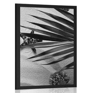 Plakát mušle pod palmovými listy v černobílém provedení