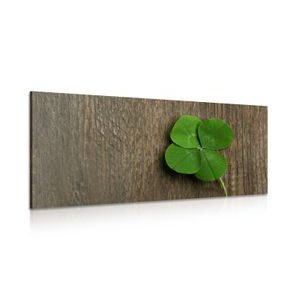 ΕΙΚΌΝΑ ΕΝΌΣ ΧΑΡΟΎΜΕΝΟΥ ΤΕΤΡΆΦΥΛΛΟΥ ΤΡΙΦΥΛΛΙΟΎ - ΠΊΝΑΚΕΣ ΝΕΚΡΉΣ ΦΎΣΗΣ - ΠΊΝΑΚΕΣ