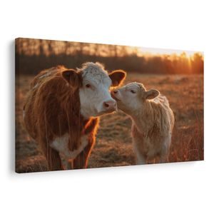 OBRAZ ZÁPAD SLUNCE NA PASTVINĚ - OBRAZY BUVOLI A KRÁVY - OBRAZY