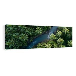 OBRAZ POHLED Z VRCHOLU LESA - PICTURES OF TREES AND LEAVES - PICTURES