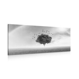 OBRAZ OSAMELÝ STROM NA LÚKE V ČIERNOBIELOM PREVEDENÍ (2) - PICTURES - 🔥 TOTAL SALE 🔥