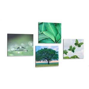 CANVAS PRINT SET NATURE FULL OF GREENERY - SET OF PICTURES - PICTURES