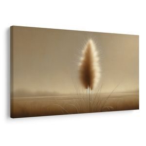 KÉP LÁGY PAMPAFŰ - KÉPEK FÜVEK - KÉPEK