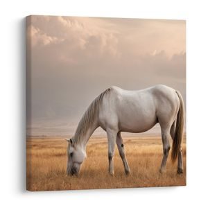 TABLEAU SUR TOILE – CHEVAL SOLITAIRE DANS LE CHAMP - TABLEAUX DE CHEVAUX - TABLEAUX