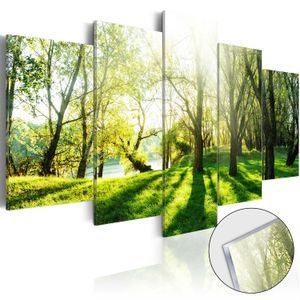 Obraz sýtozelený les na akrylátovom skle - Green Glade