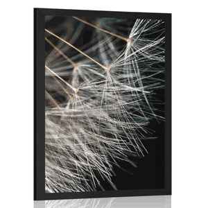 Plakat ljepota maslačka
