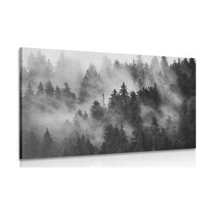 QUADRO DI MONTAGNE NELLA NEBBIA IN BIANCO E NERO - QUADRI BIANCO E NERO - QUADRI