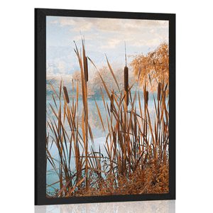 AFFICHE – RIVIÈRE AU MILIEU DE LA NATURE AUTOMNALE - NATURE - AFFICHES