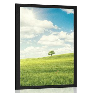 POSTER – SPLENDIDA GIORNATA DI SOLE NEL PRATO - NATURA - POSTER