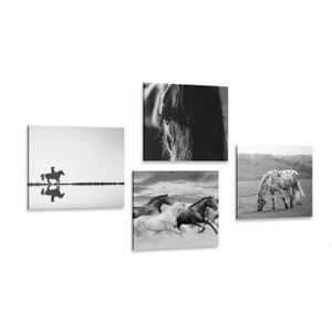 Set di quadri in bianco e nero per amanti dei cavalli