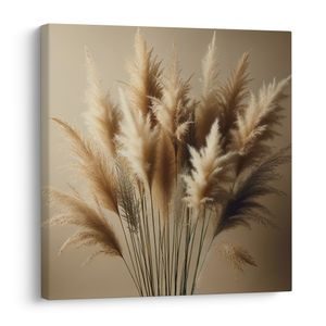 KÉP FINOM PAMPAFŰ SZÁLAK - KÉPEK FÜVEK - KÉPEK