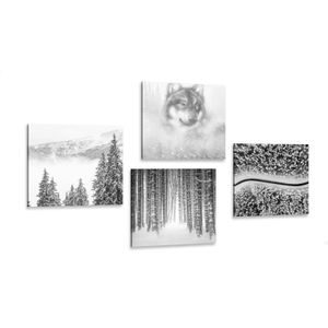 CANVAS PRINT SET WOLF IN A MYSTERIOUS FOREST IN BLACK AND WHITE - SET OF PICTURES - PICTURES