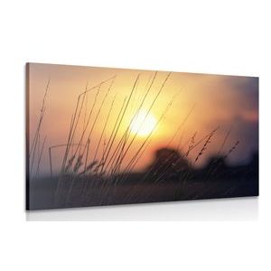 ΕΙΚΌΝΑ ΑΝΑΤΟΛΉ ΤΟΥ ΗΛΊΟΥ ΠΆΝΩ ΑΠΌ ΤΟ ΛΙΒΆΔΙ - ΠΊΝΑΚΕΣ ΦΎΣΗΣ ΚΑΙ ΤΟΠΊΟΥ - ΠΊΝΑΚΕΣ