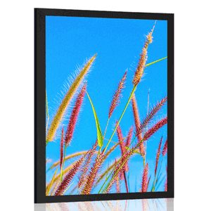 AFFICHE HERBE SAUVAGE SOUS UN CIEL BLEU - NATURE - AFFICHES