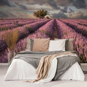 WALLPAPER LANDSCAPE OF LAVENDER FIELDS - WALLPAPERS NATURE - WALLPAPERS