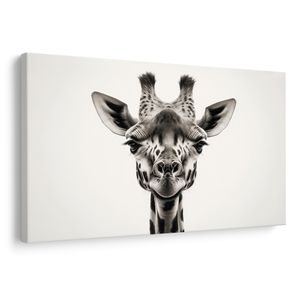 KÉP ZSIRÁF PORTRÉ - KÉP ZEBRA ÉS ZSIRÁF - KÉPEK