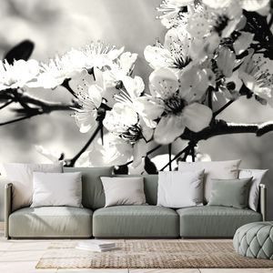 SELF ADHESIVE WALL MURAL BLACK AND WHITE CHERRY BLOSSOM - SELF-ADHESIVE WALLPAPERS - WALLPAPERS