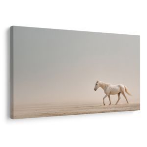TABLEAU SUR TOILE – CHEVAL BLANC DANS LE DÉSERT - TABLEAUX DE CHEVAUX - TABLEAUX