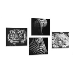 CANVAS PRINT SET WILD ANIMALS IN BLACK AND WHITE - SET OF PICTURES - PICTURES