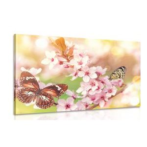 CANVAS PRINT SPRING FLOWERS WITH EXOTIC BUTTERFLIES - PICTURES OF ANIMALS - PICTURES