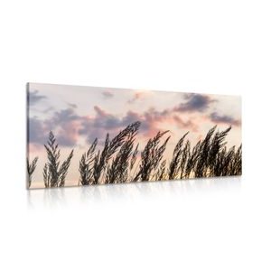 IMPRESSION SUR TOILE HERBE AU COUCHER DU SOLEIL - IMPRESSION SUR TOILE DE NATURE ET PAYSAGE - IMPRESSION SUR TOILE