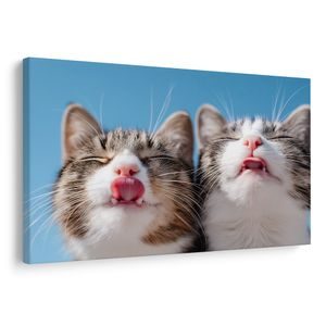 TABLOU PISICI JUCĂUȘE PE FUNDAL ALBASTRU - TABLOURI CU PISICI - TABLOURI