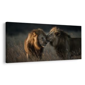 WANDBILD KÖNIGLICHE LÖWENHARMONIE - BILDER VON LÖWEN UND TIGERN - BILDER