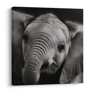 QUADRO SU TELA – RITRATTO IN BIANCO E NERO DI ELEFANTE - QUADRI DI ELEFANTI - STAMPE E QUADRI