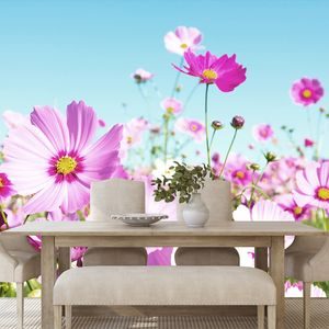 WALL MURAL MEADOW OF SPRING FLOWERS - WALLPAPERS FLOWERS - WALLPAPERS