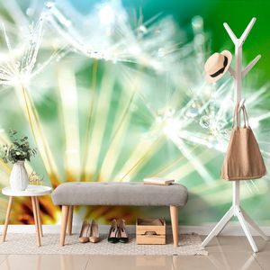 PAPIER PEINT – DÉTAIL MAGNIFIQUE DU PISSENLIT - PAPIERS PEINTS FLEURS - PAPIERS PEINTS PANORAMIQUES