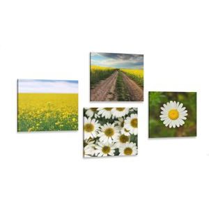 CANVAS PRINT SET MEADOW FULL OF FLOWERS - SET OF PICTURES - PICTURES