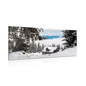 CANVAS PRINT WOODEN HOUSE NEAR SNOWY PINES - PICTURES OF NATURE AND LANDSCAPE - PICTURES