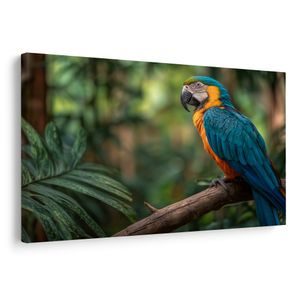 QUADRO SU TELA – ARMONIA VARIOPINTA DELLA NATURA - QADRI DI UCCELLI - STAMPE E QUADRI