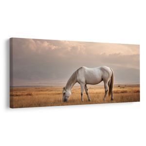 TABLEAU SUR TOILE – CHEVAL BLANC DANS LE PAYSAGE - TABLEAUX DE CHEVAUX - TABLEAUX