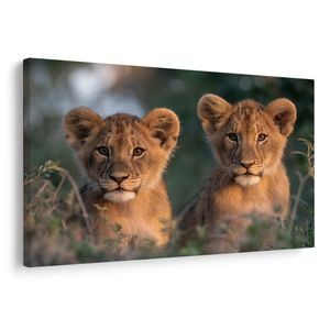 QUADRO SU TELA – CUCCIOLI DI LEONE NELLA SAVANA - QUADRI DI LEONE E TIGRE - STAMPE E QUADRI