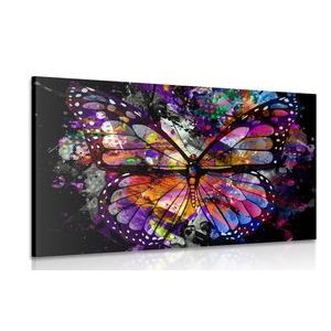 Canvas print unusual butterfly