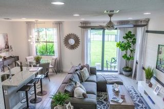 sivá obývačka so zelenými izbovými rastlinami