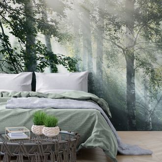 SELF ADHESIVE WALL MURAL SUN RAYS IN A FOGGY FOREST - SELF-ADHESIVE WALLPAPERS - WALLPAPERS