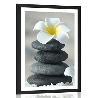 POSTER WITH MOUNT HARMONIC STONES AND A PLUMERIA FLOWER - FENG SHUI - POSTERS