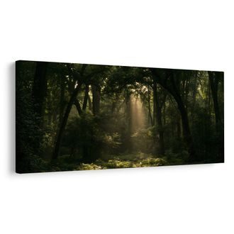OBRAZ LESNÍ ZÁKOUTÍ V ŠERU - PICTURES FOREST - PICTURES