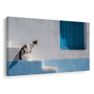 WANDBILD KATZE AUF BLAUEN TREPPEN - BILDER VON KATZEN - BILDER