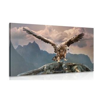 Wandbild Adler mit ausgebreiteten Flügeln über Bergen