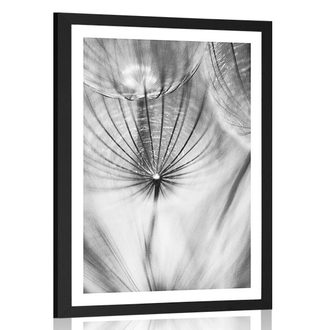 POSTER WITH MOUNT DANDELION IN BLACK AND WHITE - BLACK AND WHITE - POSTERS