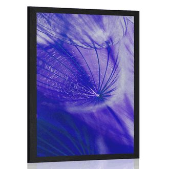 POSTER PĂPĂDIE FRUMOASĂ ÎN DESIGN VIOLET - FLORI - POSTERE